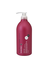Dầu gội hoa trà phục hồi tóc hư tổn salon link 1000ml/chai