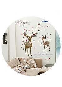 product-img-2