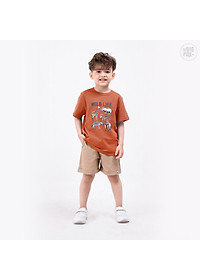 Áo Thun Bé Trai Size Đại Bigfox, Áo Phông Trẻ Em Mùa Hè Hình In Động Vật Wild Life Chất Cotton Mềm Mịn 3-11 Tuổi
