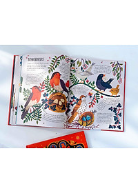 product-img-8