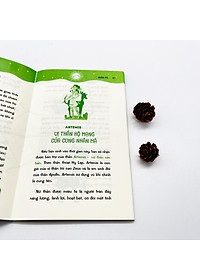 product-img-6