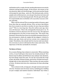 product-img-11