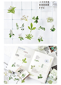 product-img-8
