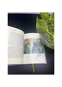 product-img-6