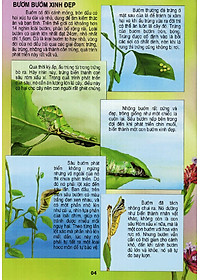 Sách Thế Giới Động Vật Kì Thú - Vườn Côn Trùng