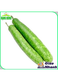 Hạt Giống Bầu Sao Lai F1 Trái Dài, Siêu Đậu Trái, Dễ Trồng - Hạt giống Rạng Đông