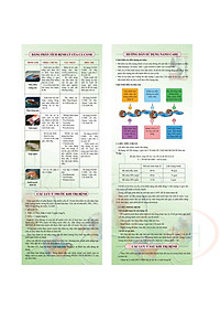 Trị nấm khuẩn Multibio Nano Care xử lý đốm trắng nhiễm khuẩn cá tép thủy sinh