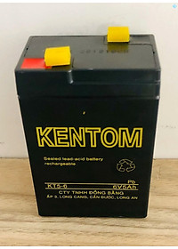Bình ắc quy cho đèn sạc, xe đồ chơi trẻ em 6V 4.5AH