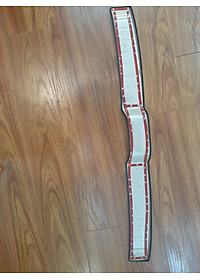 Bộ ốp chống trầy Cốp INOX dành cho xe Honda Brio - Bên ngoài