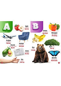 Sách Từ Điển Bằng Hình - Chữ Cái Và Số Đếm (Song Ngữ Anh - Việt)