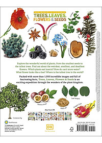 Trees, Leaves, Flowers And Seeds: A Visual Encyclopedia Of The Plant Kingdom