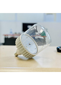 Đèn Trồng Cây và Quang Hợp Cho Lan, Chính Hãng Rạng Đông, Phổ Chuyên Dụng WBU, Công Suất 16W/25W/50W - Hàng chính hãng