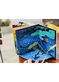 product-img-4