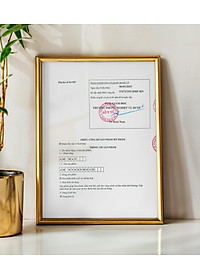 Lăn khử mùi AM MAN Am EverFresh 50ml khử mùi, khô thoáng, kiểm soát mồ hôi suốt ngày dài