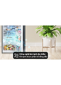 Tủ lạnh Toshiba Inverter 253 lít GR-RT329WE-PMV(52) - Hàng Chính Hãng (Chỉ giao HCM)