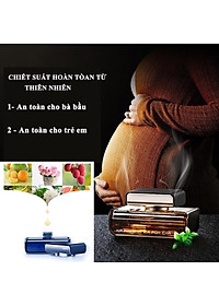 Nước hoa thơm dịu nhẹ, khử mùi cho xe ô tô