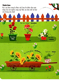 Sách Tương Tác - Lift-The-Flap - First 100 Plants - 100 Từ Đầu Tiên Về Thế Giới Thực Vật (Tái Bản)