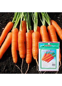 Hạt Giống Cà Rốt New Kuroda Phú Nông