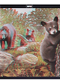 Sách Di Chuyển Và Di Cư