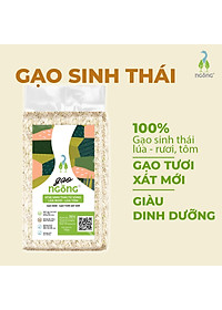 Gạo Ngỗng Sinh Thái ST25 - Gạo Sạch Ruộng Rươi Tôm Gói 700gr