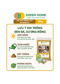 Đá Khoáng Masato GreenHome, Bao 500gr, Loại Cao Cấp, Sạch Bụi, Không Vụn, Rải Mặt, Kích Rễ, Giúp Sen Đá Lên Màu Nhanh