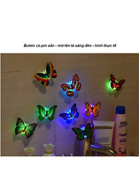 product-img-6