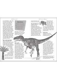 product-img-12