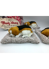 CHÚ CHÓ KHỬ MÙI ĐỂ TRÊN XE HOẶC BÀN LÀM VIỆC