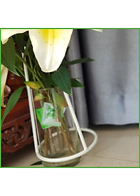 Chăm sóc hoa lâu tàn bằng bột dưỡng cho hoa cắt cành nhập khẩu Israel (Set 50 gói) giữ hoa lâu tàn gấp 2 lần bình thường và 14 ngày không thay nước mới