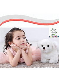 product-img-1
