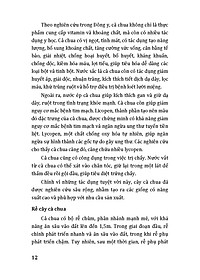 product-img-10