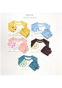 product-img-8