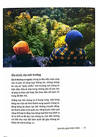 product-img-8