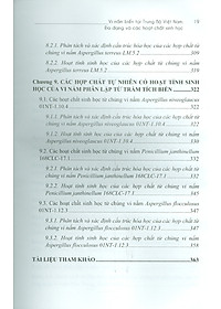 product-img-9