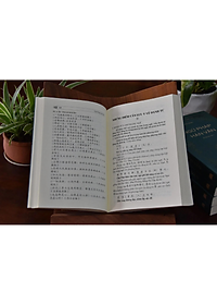 Ngữ Pháp Hán Văn (Bìa Mềm)