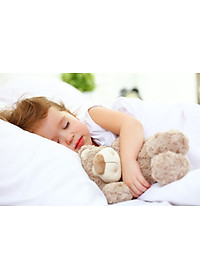 Cặp Ruột gối hơi cao cấp - Gòn bông nhân tạo an toàn sức khỏe, không chứa chất độc hại - Có khóa kéo dễ dàng thêm bớt gòn bên trong - Êm ái, mềm mịn