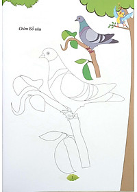 product-img-5