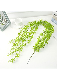 product-img-10