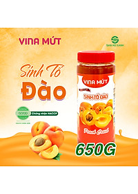 Sinh Tố VINA MỨT (Hũ 650gr) - Vị Trái Cây Tươi Tự Nhiên