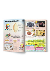 product-img-6