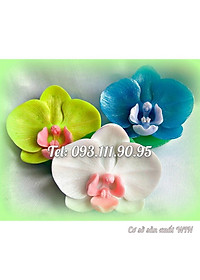 product-img-11