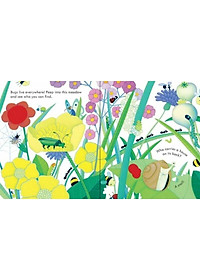 Peep Inside Bug Homes