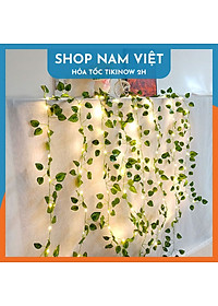 Đèn Led Dây Leo Năng Lượng Mặt Trời Trang Trí Sân Vườn, Ban Công, 8 Chế Độ Chớp - Chính Hãng NAVIVU