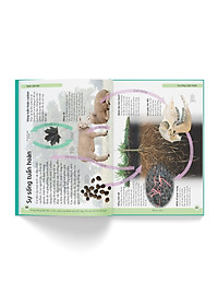 Sách Bách khoa cho trẻ em - Bách khoa khoa học