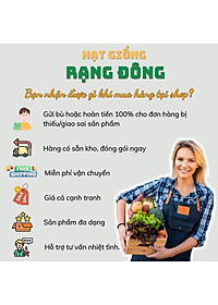 Hạt giống Dưa Hấu Rado 331 (10 hạt) trái to, dài, ruột đỏ, ngọt, kháng sâu bệnh, trồng quanh năm - Hạt giống Rạng Đông