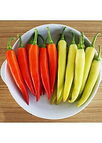 Hạt giống Ớt sừng vàng da bóng trái sai và to đều VTP88