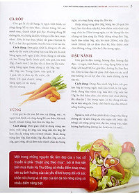 product-img-6