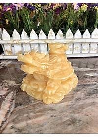 product-img-1