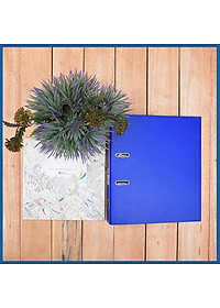 Bìa Còng 70mm F4 Flexoffice FO-BC14 (1 Mặt Xi) - Xanh Đậm