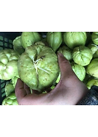 product-img-2